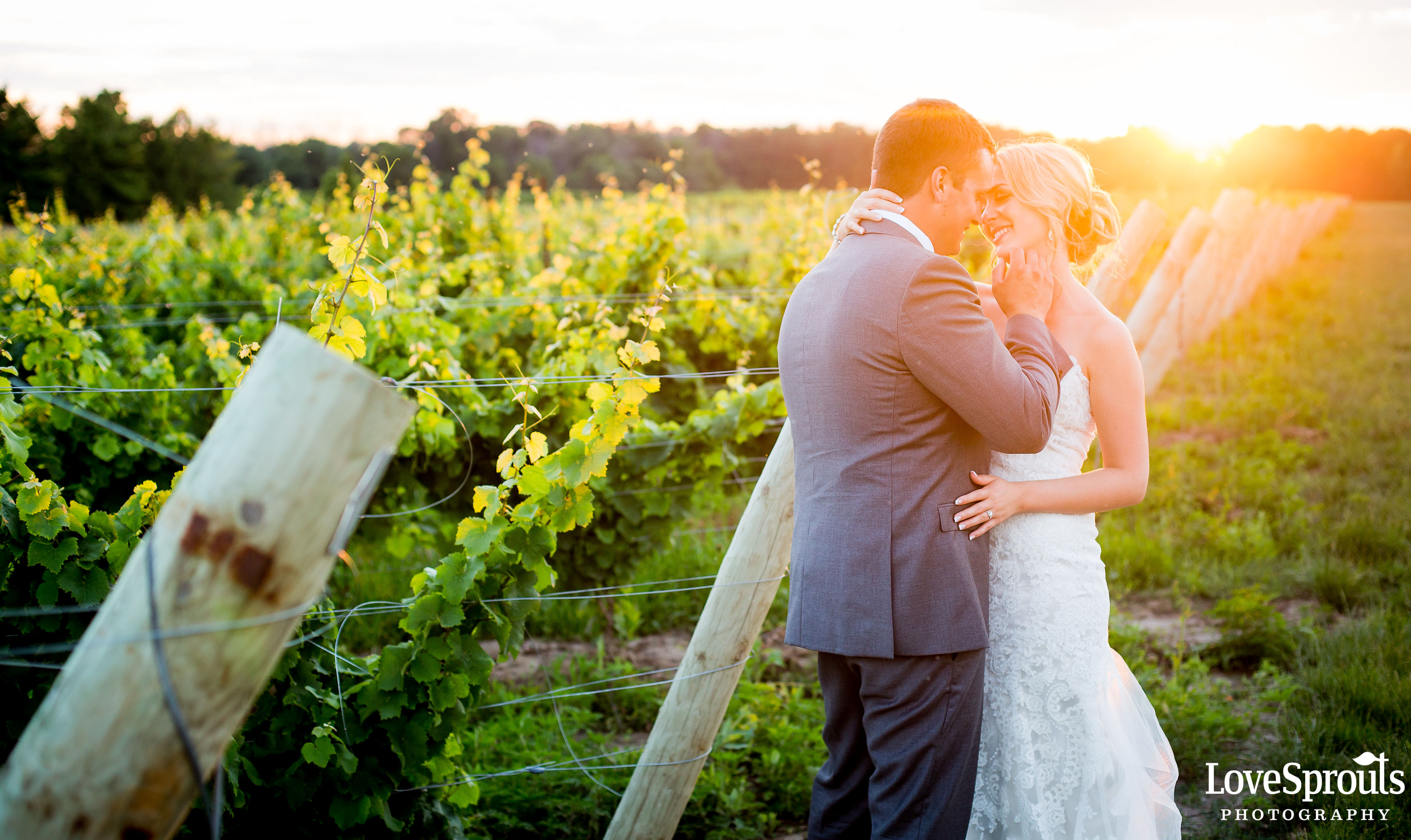 Grand Bend Wedding Photographers – Teresa + Scott – Dark Horse Winery