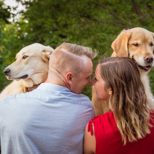 Stratford-Wedding-Photographers-Love-Sprouts-Photography-Confederation-Park-Engagement-