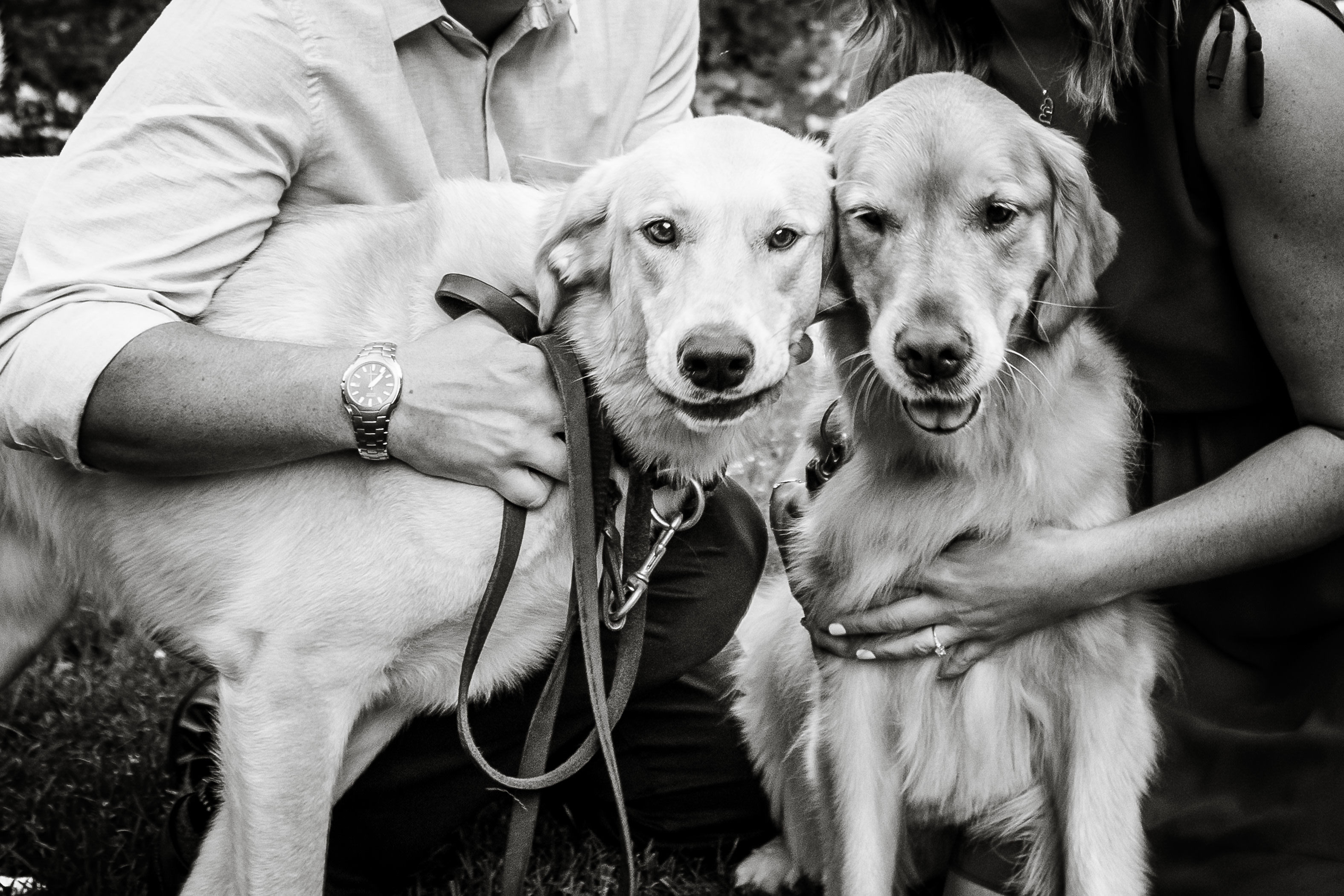 Stratford-Wedding-Photographers-Love-Sprouts-Photography-Confederation-Park-Engagement-