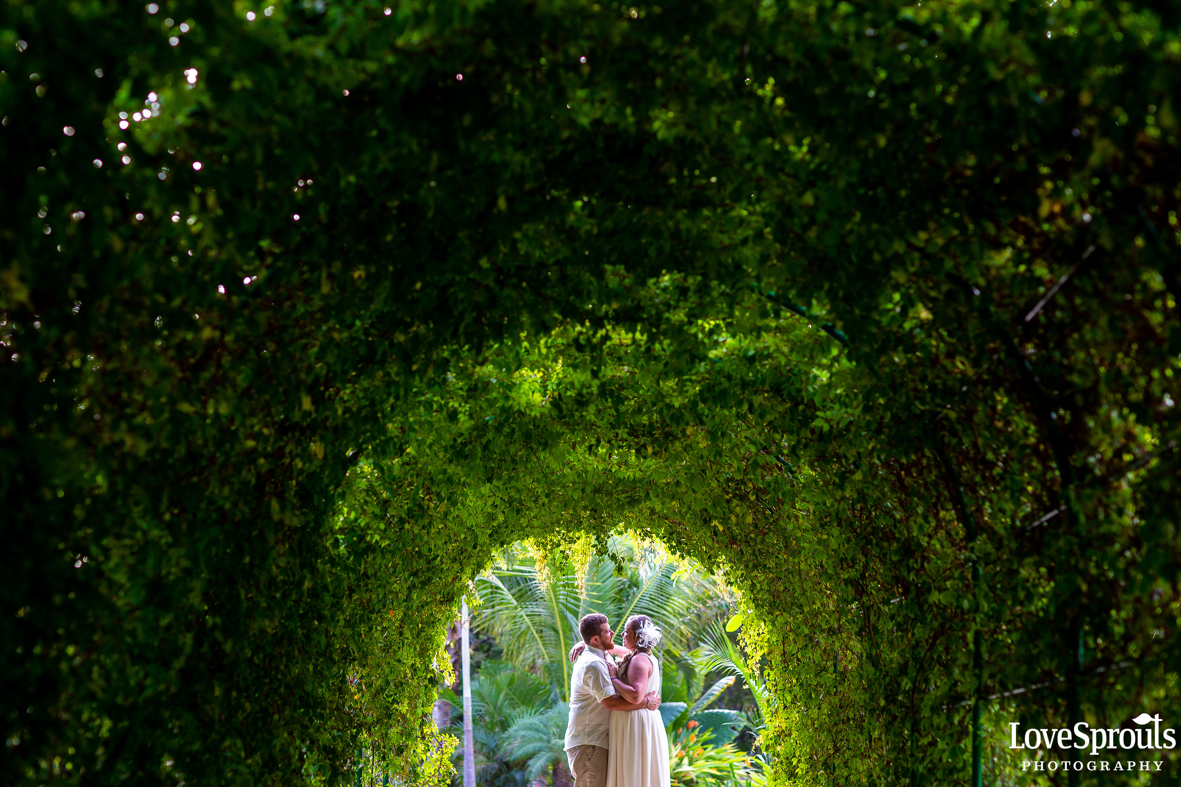 Destination Wedding Photographers – Megan & DJ – The Fives Azul Beach Resort