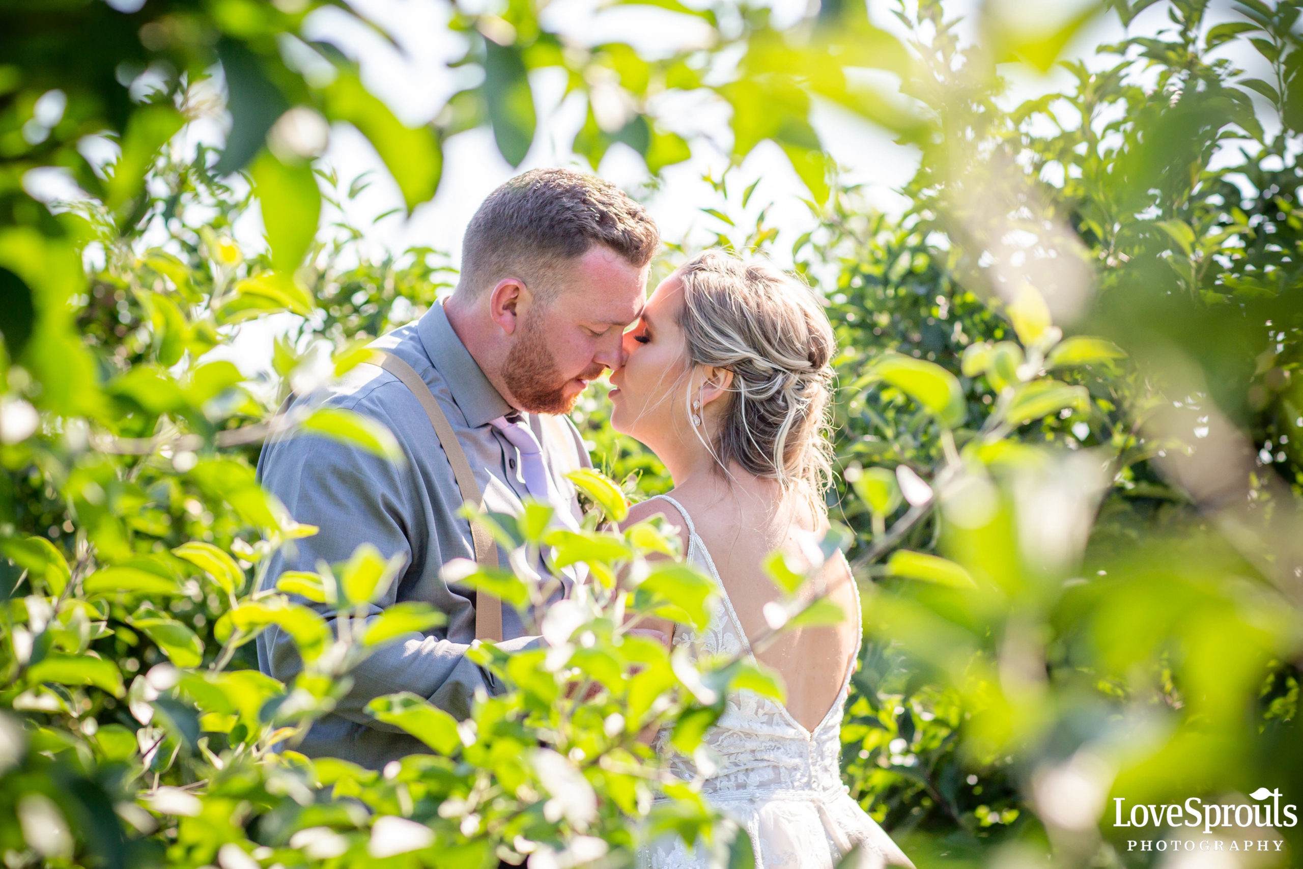 Sparta Wedding Photographers – Emily & Kyle – Backyard Wedding