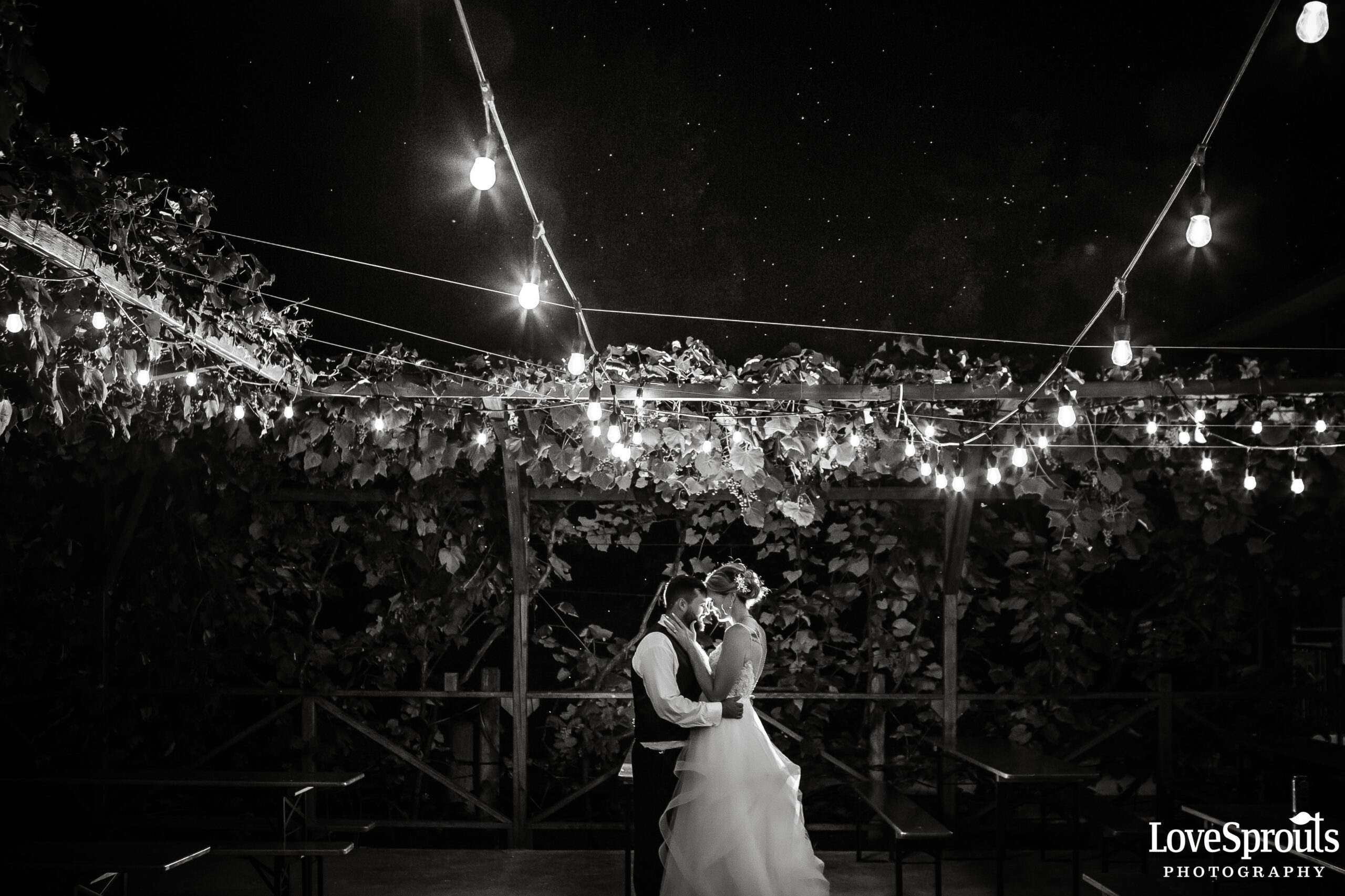 Kitchener Wedding Photographers – Tegan & Corey – Schwaben Club