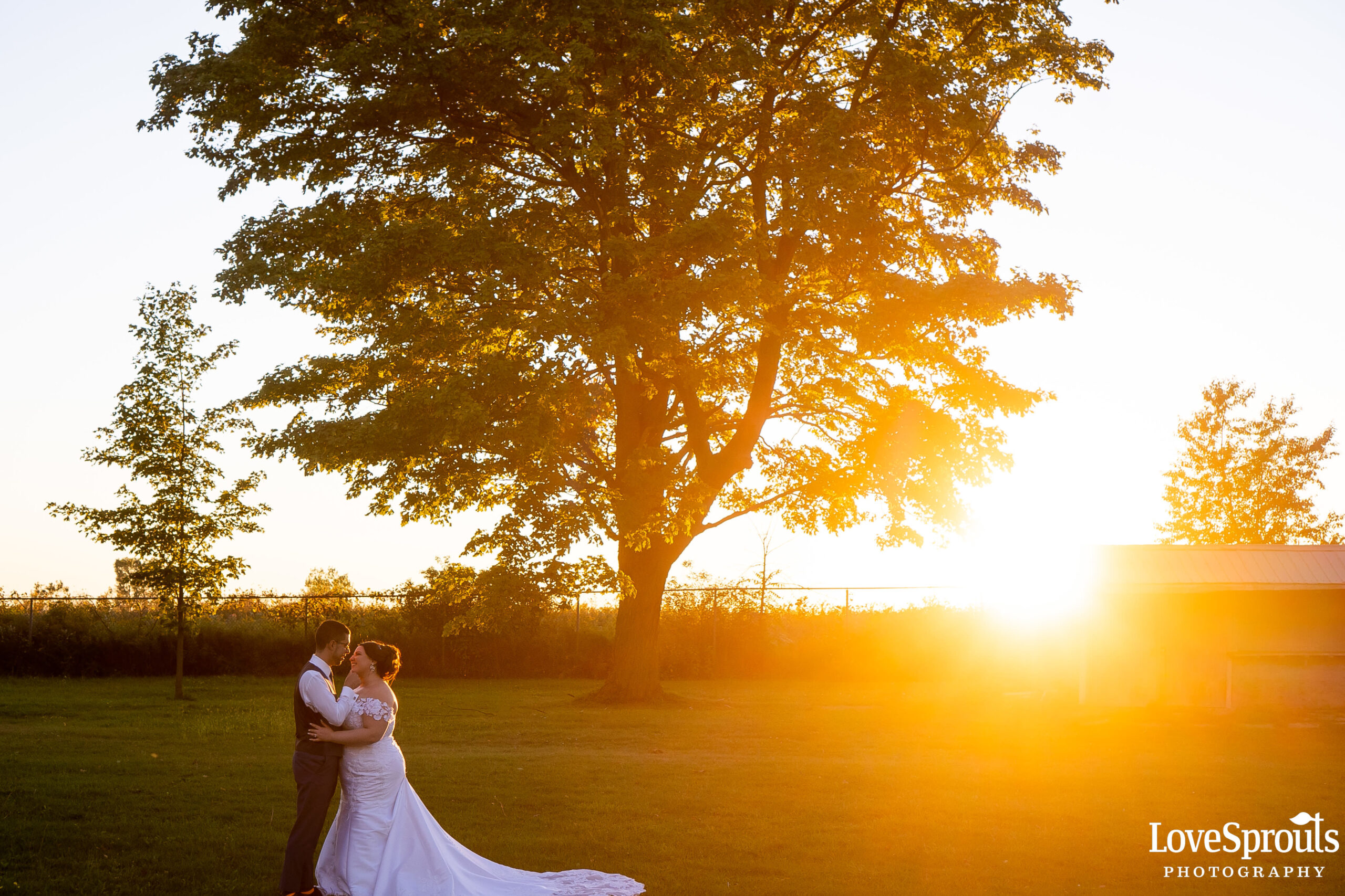 Kitchener Wedding Photographers – Susanne & Leonardo – Romanian Banat Banquet Hall